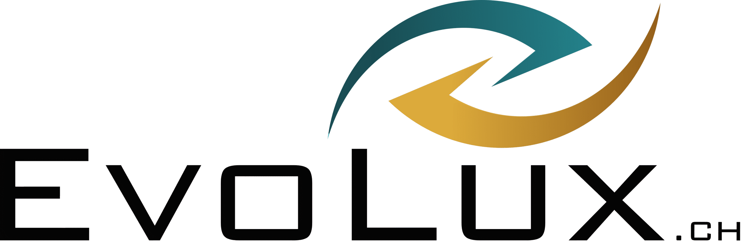 Evolux – Professioneller Fahrzeuginnenausbau